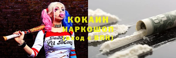 мдпв Магас