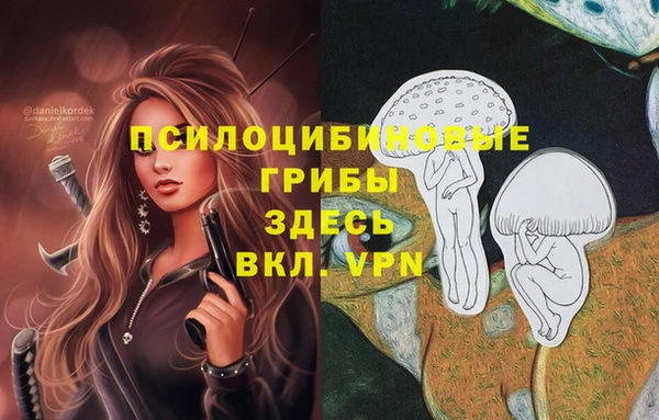 мдпв Магас
