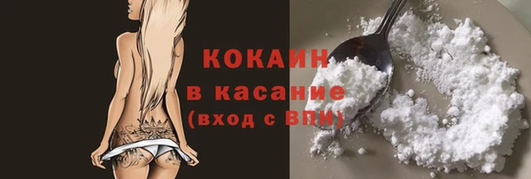 мдпв Магас