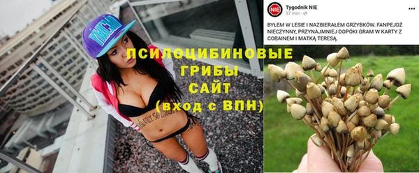 твердый Лагань
