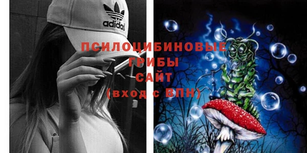мдпв Магас