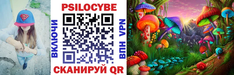 где найти   Ува  Галлюциногенные грибы GOLDEN TEACHER 